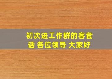 初次进工作群的客套话 各位领导 大家好